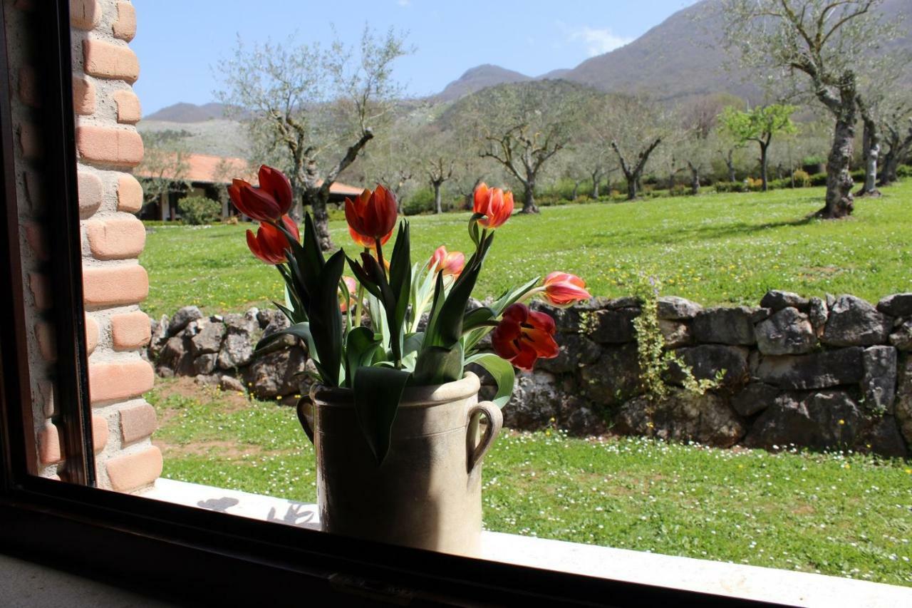 Agriturismo Il Castagneto Padula Eksteriør bilde