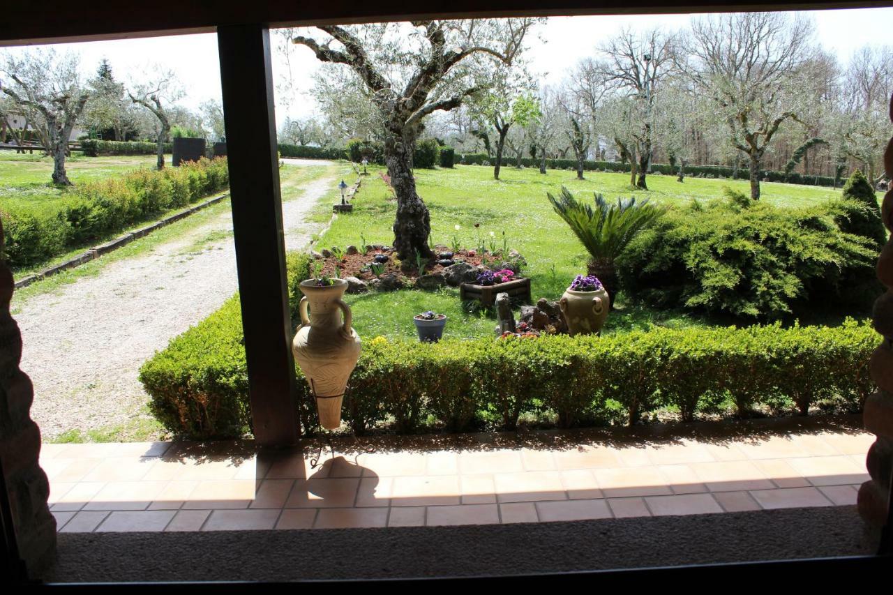 Agriturismo Il Castagneto Padula Eksteriør bilde